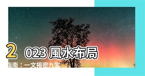 風水佈局 2023|【家居風水佈局2023】2023家居風水佈局指南，擺對植物旺財。